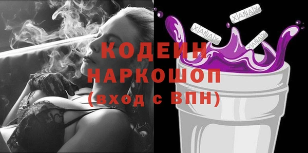 хмурый Алзамай