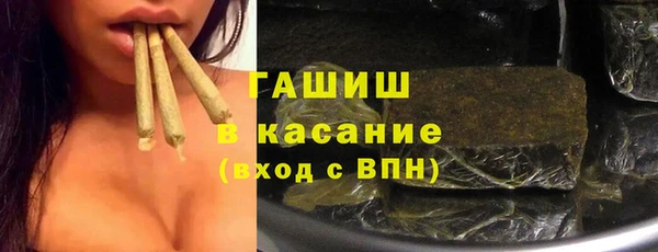 хмурый Алзамай