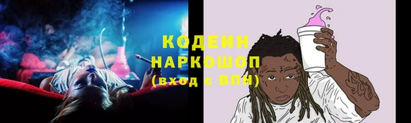хмурый Алзамай