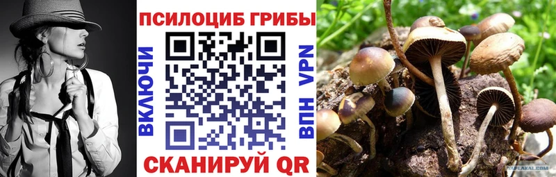 Псилоцибиновые грибы ЛСД Моздок